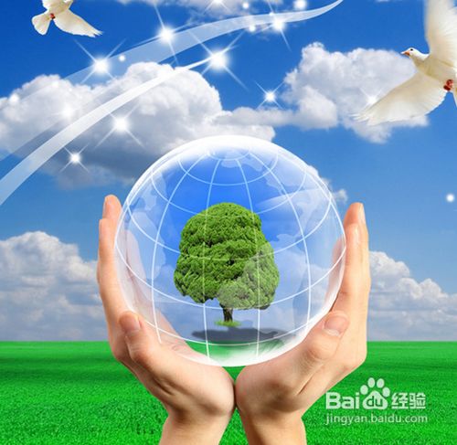 环保日常行为规范有哪些
