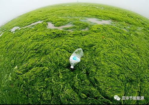 环保企业注意了 企业投资项目事中事后监管办法 自2018年2月4日起施行