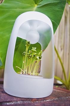产品