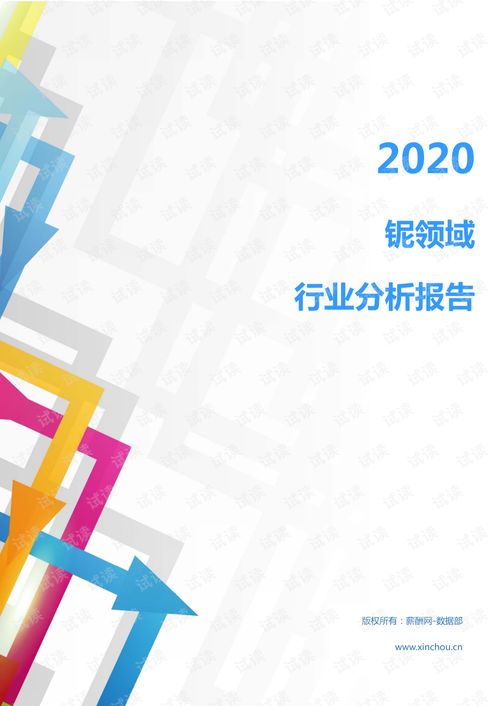 2020年冶金能源环保金属矿产行业铌领域行业分析报告 市场调查报告 .pdf