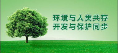 我国木门生产企业该往哪里走