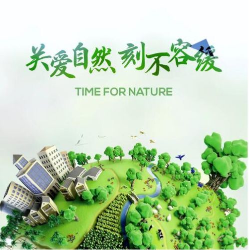 世界环境日 值得你收藏的的环保家居软装好物