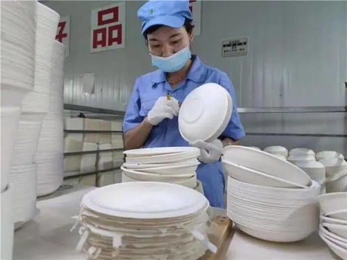 火了 广西来宾用甘蔗渣生产环保餐具,一公司年产1万吨食品级环保餐具