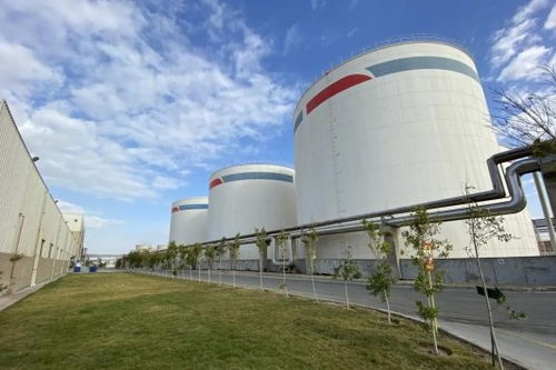 安琪酵母海外工厂 扎根当地,共筑绿色未来